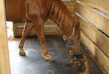 Gumová dlažba Pony 1000x1000x20 mm